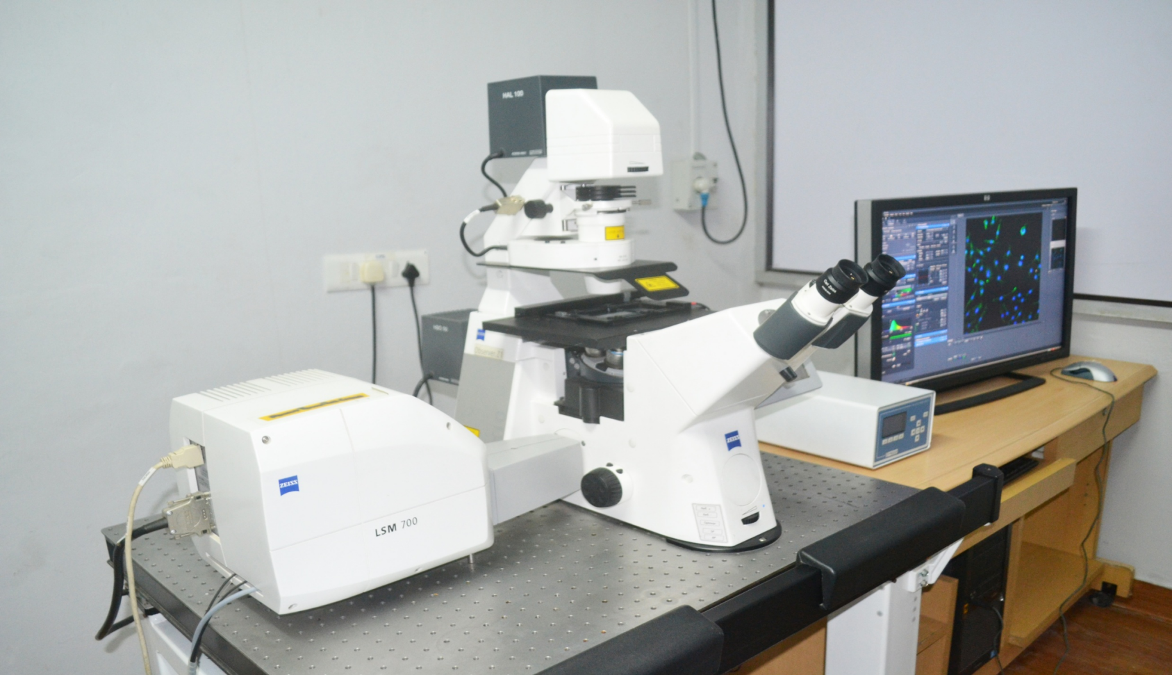 Confocal Microscopy